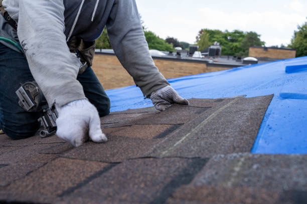 Best Rubber Roofing (EPDM, TPO)  in Hampton, MD