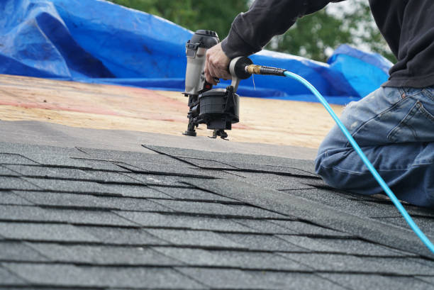 Best Steel Roofing  in Hampton, MD